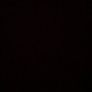 Meet your Posher, Langston